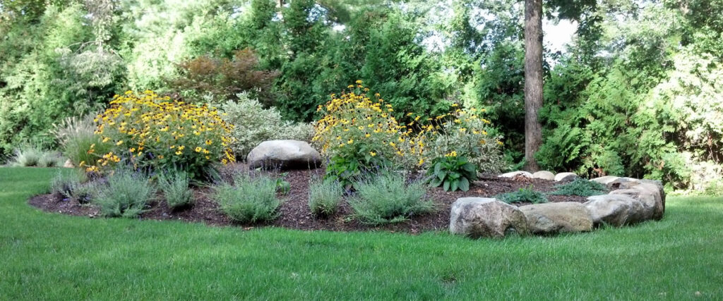 Common Landscape Design Mistakes Homeowners Make (And How to Avoid Them ...